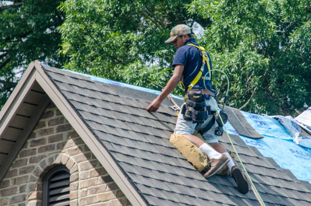 Best Storm Damage Roof Repair  in Greenbriar, FL